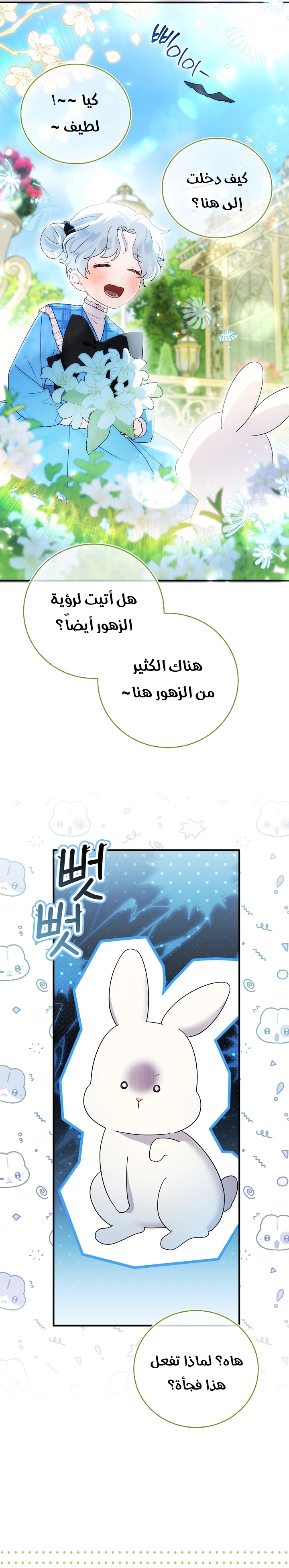 صفحة 20