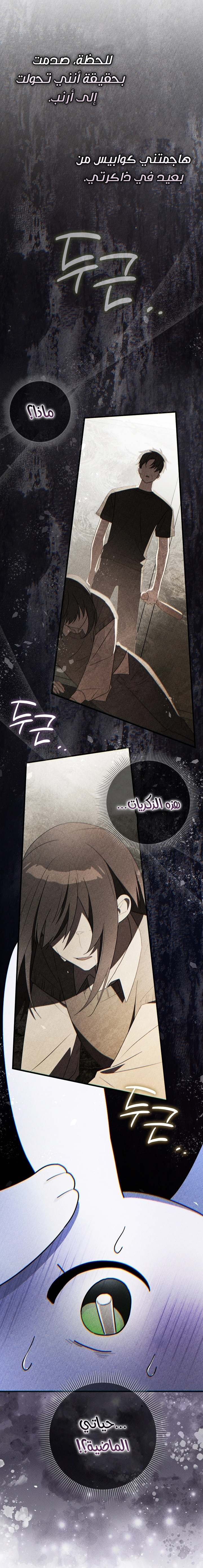 صفحة 29