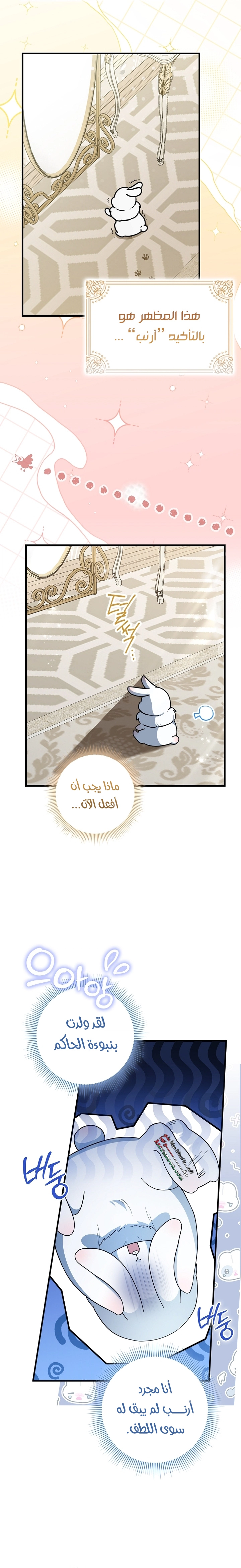 صفحة 5