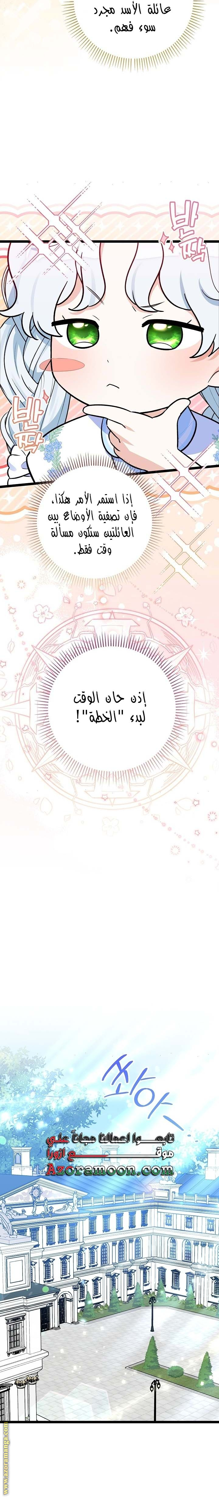 صفحة 26