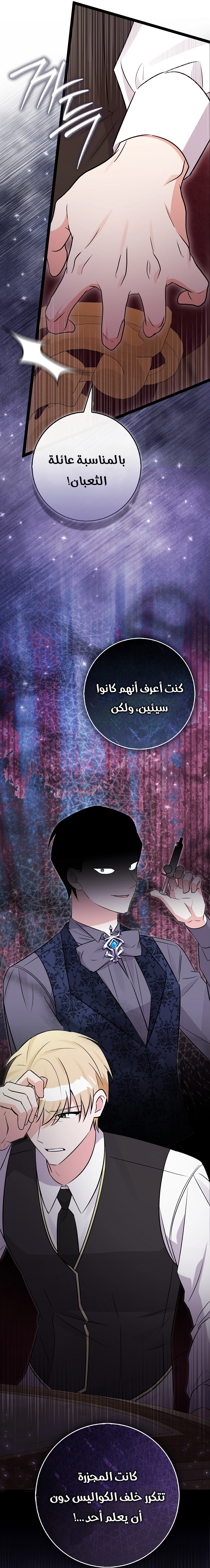 صفحة 13