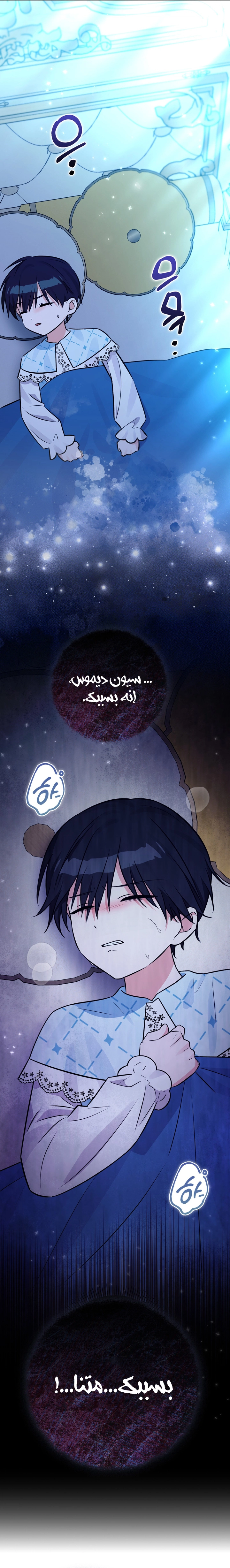 صفحة 17