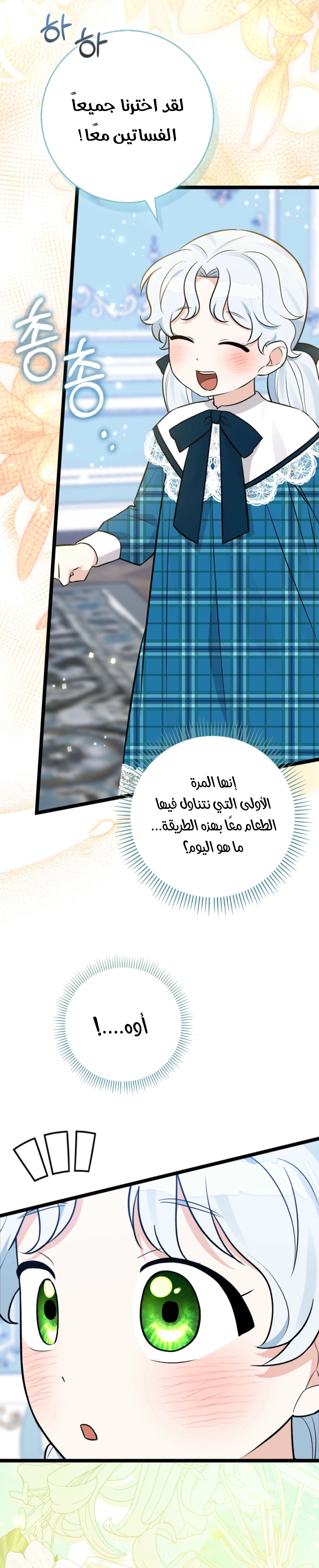 صفحة 13