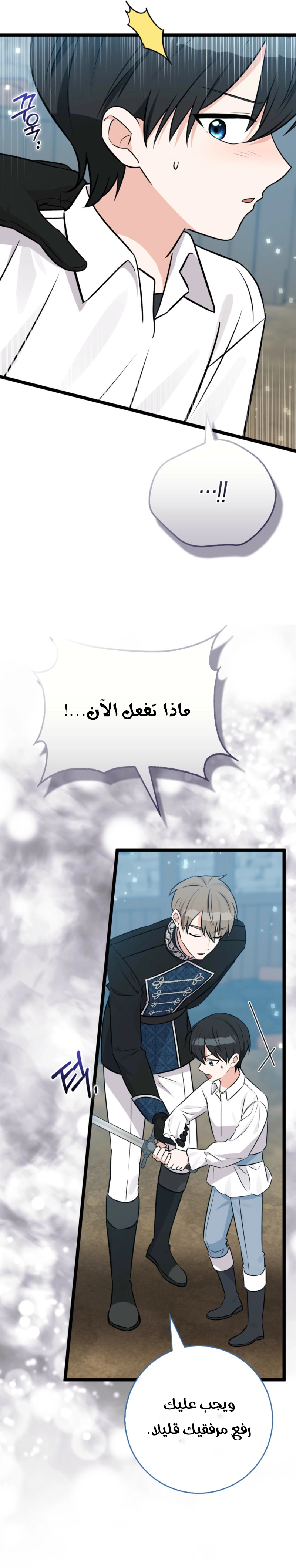 صفحة 12