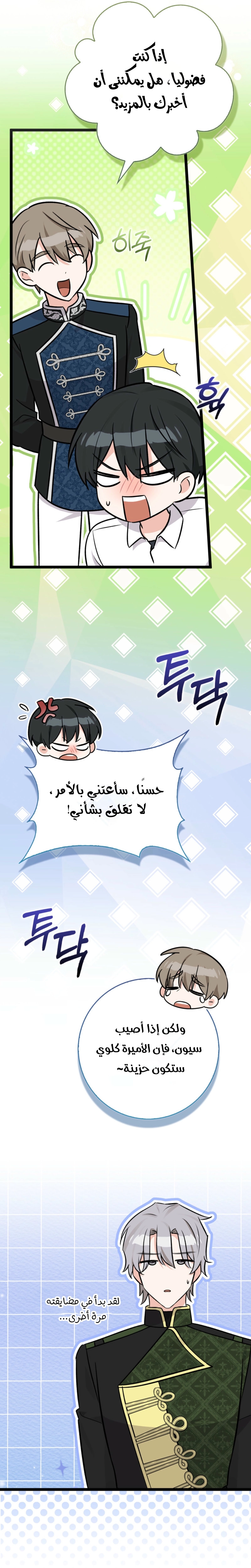 صفحة 17