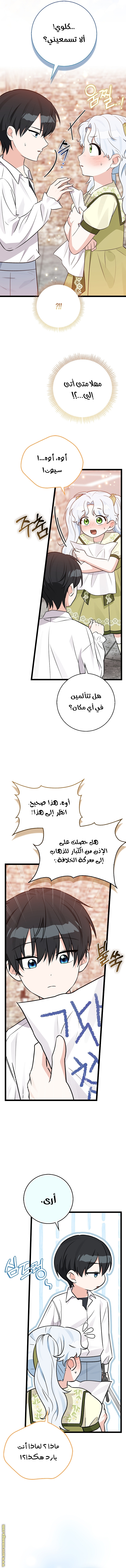 صفحة 17