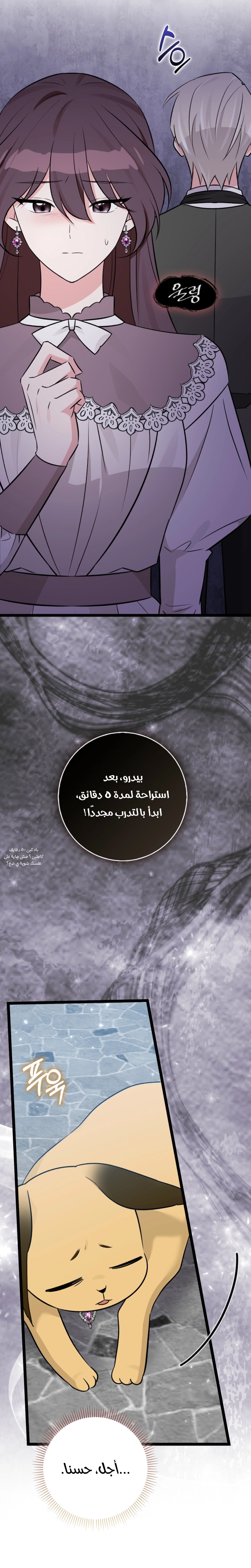 صفحة 11