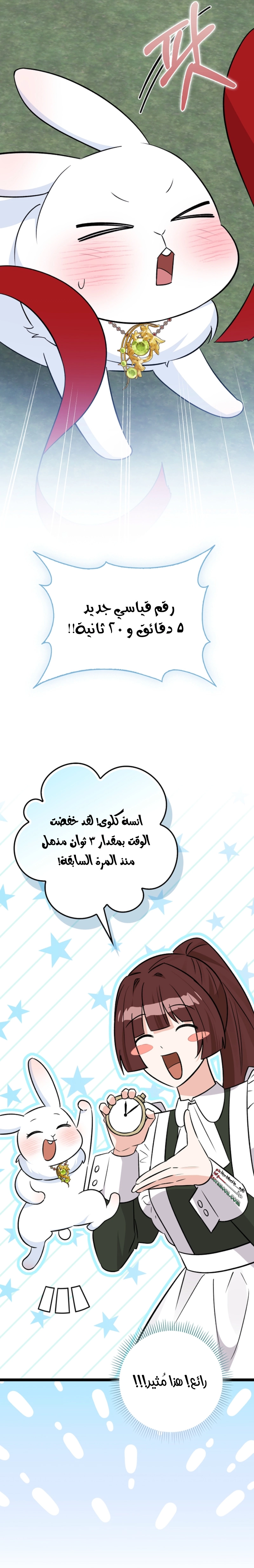 صفحة 14