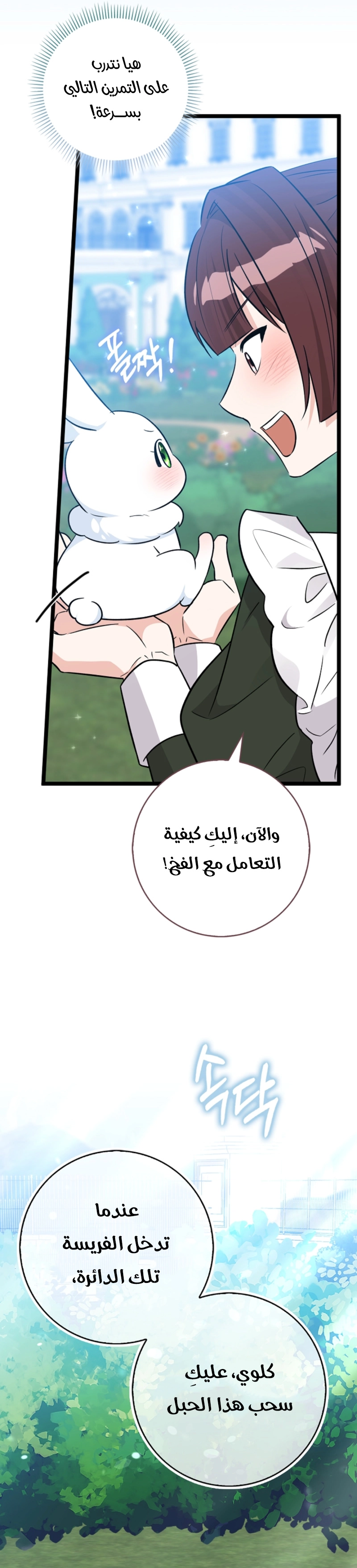 صفحة 15
