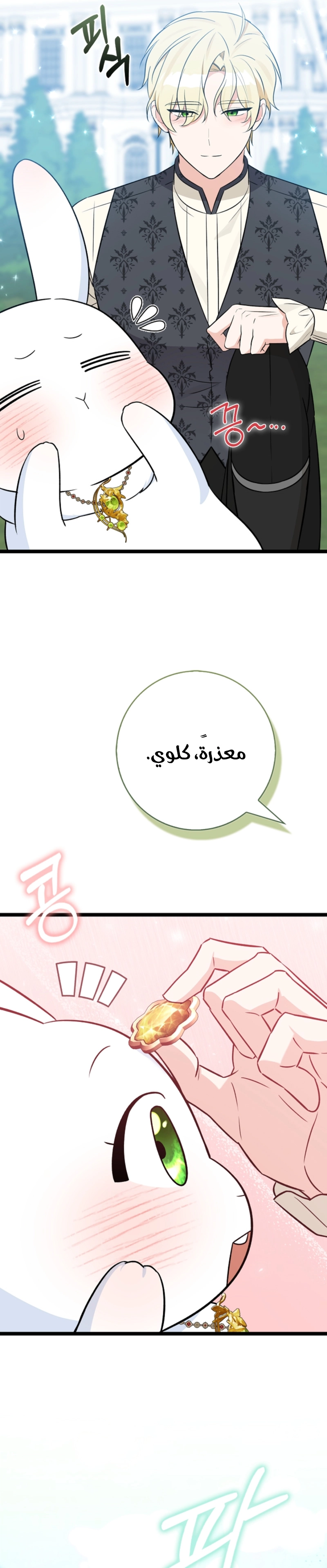 صفحة 24