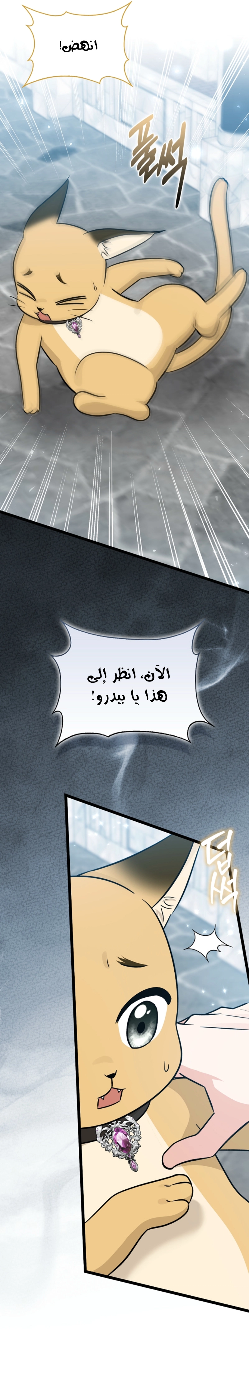 صفحة 5