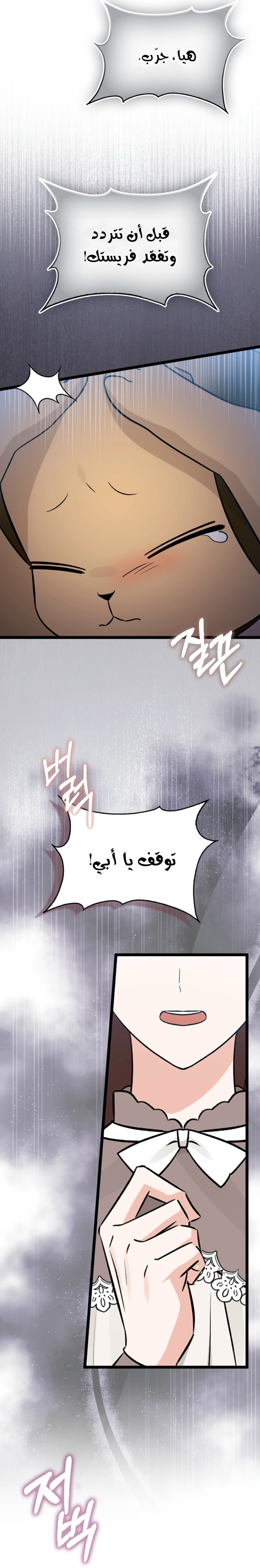 صفحة 8