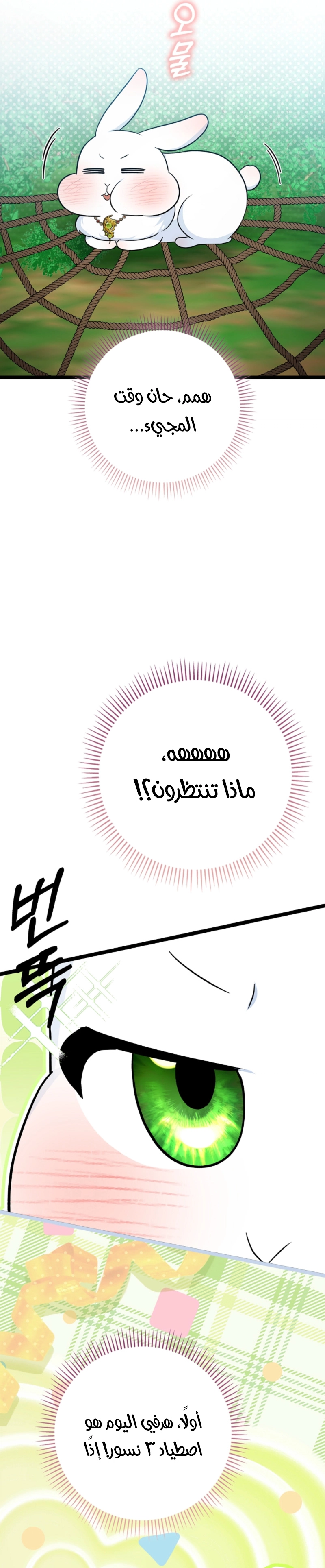 صفحة 17