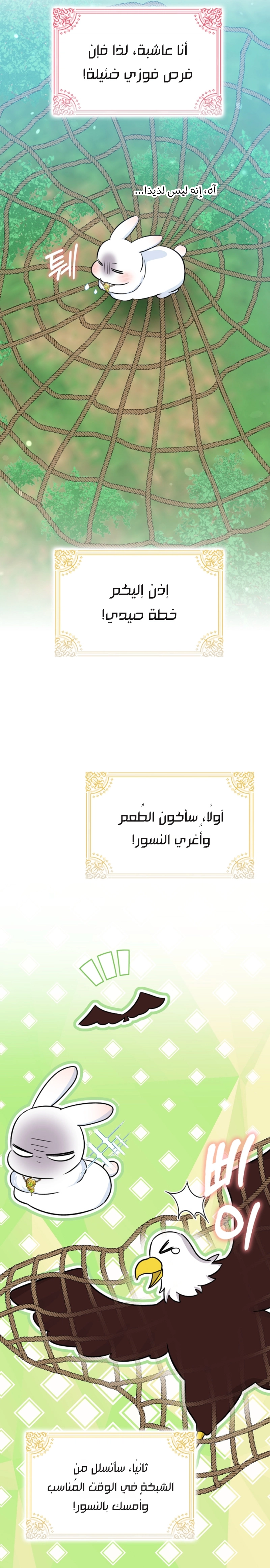 صفحة 19