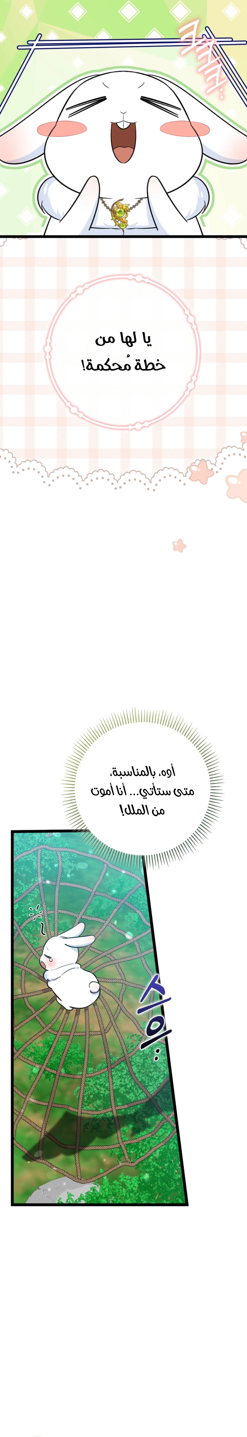 صفحة 20