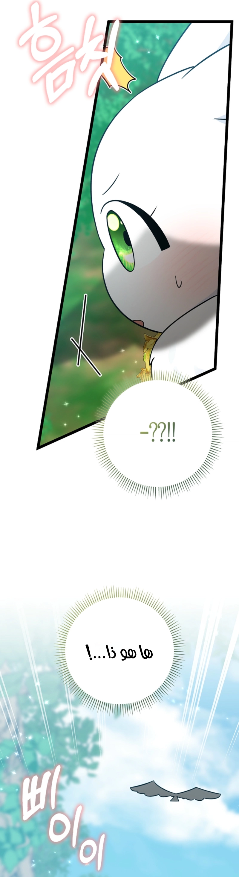 صفحة 21