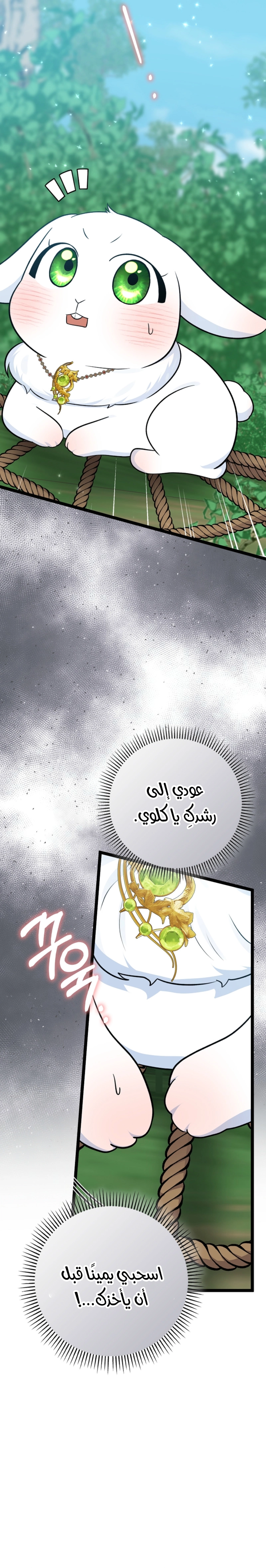 صفحة 22