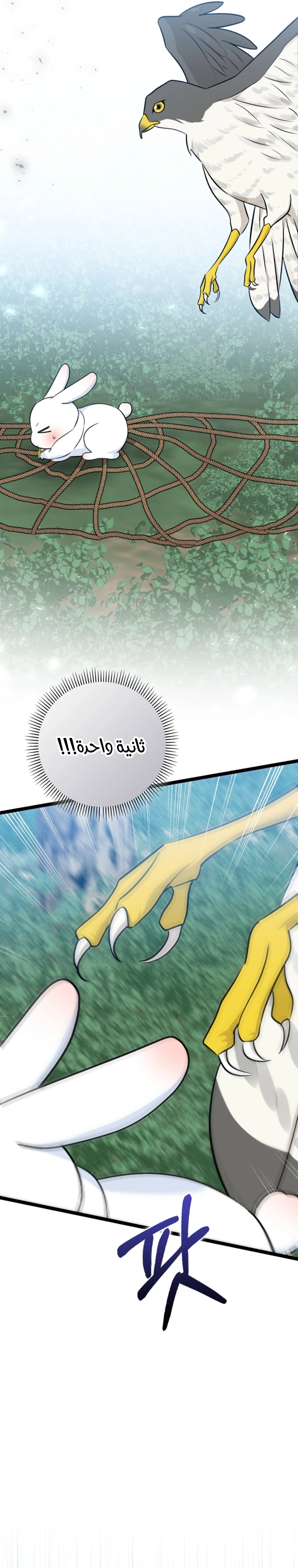 صفحة 25