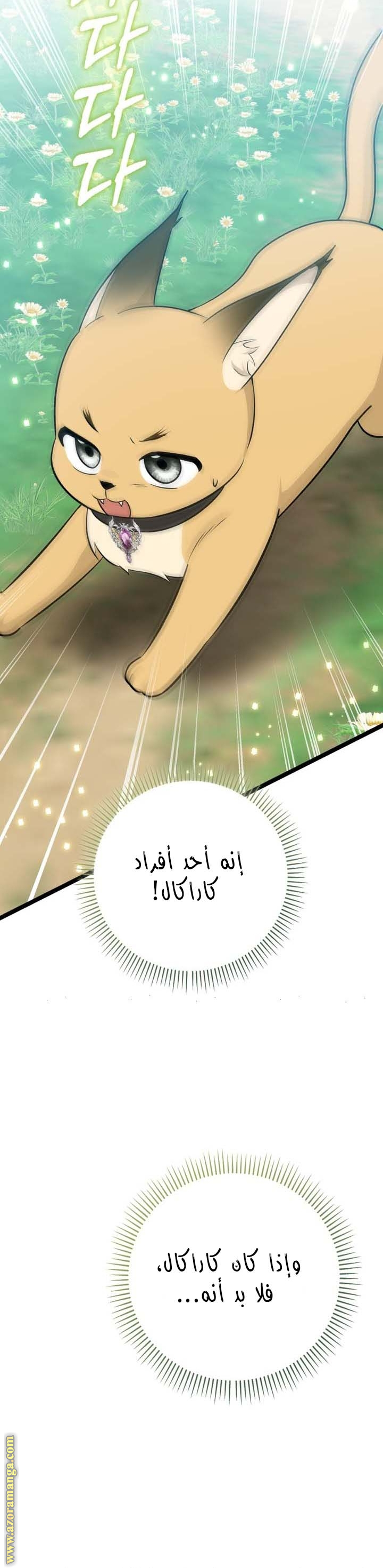صفحة 4