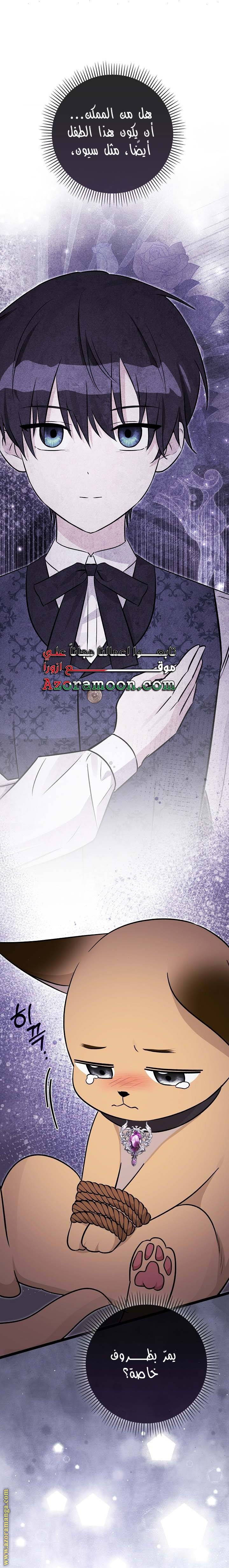 صفحة 1
