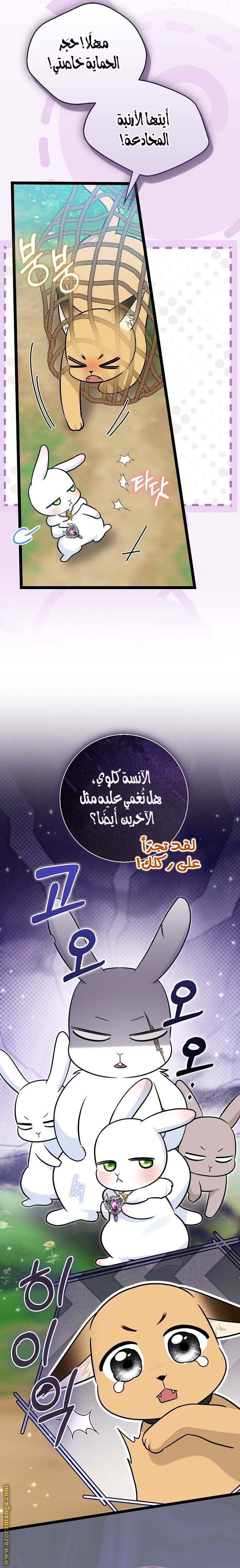 صفحة 17
