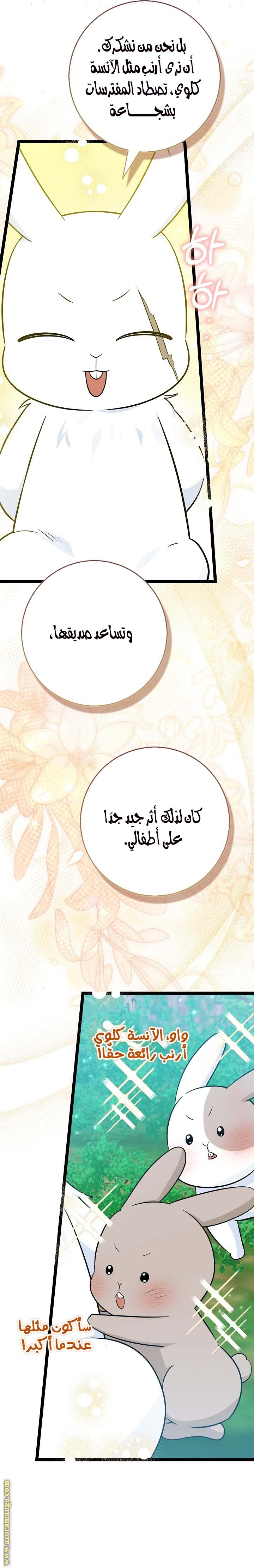 صفحة 29