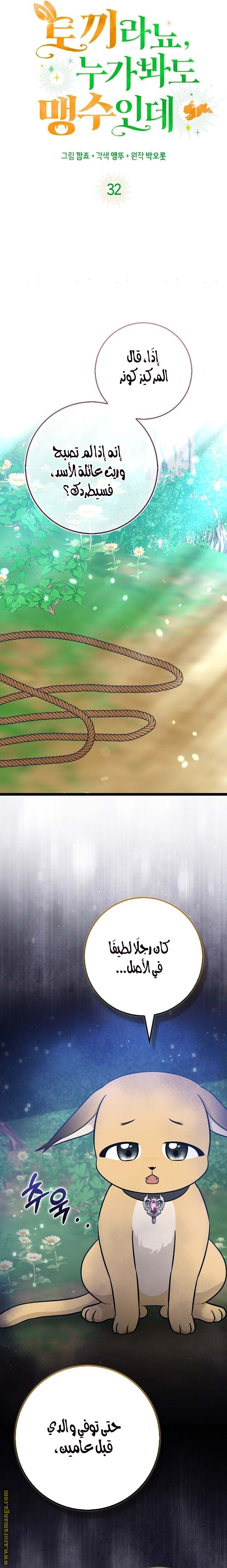 صفحة 6