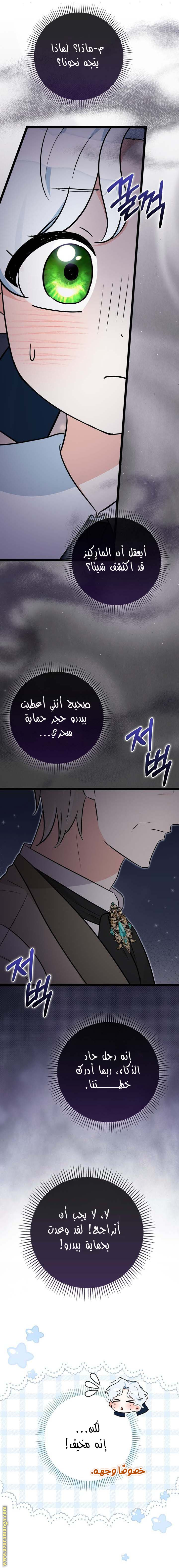 صفحة 11
