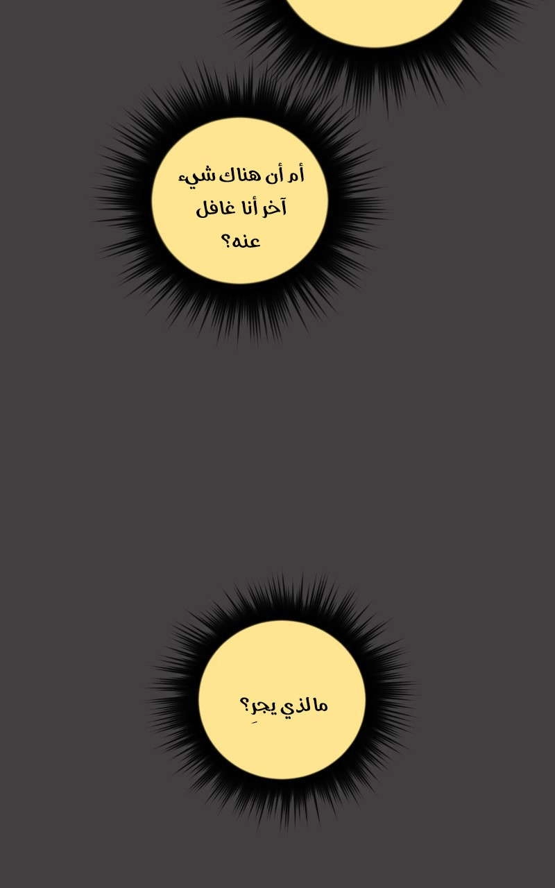 صفحة 26