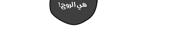 صفحة 11