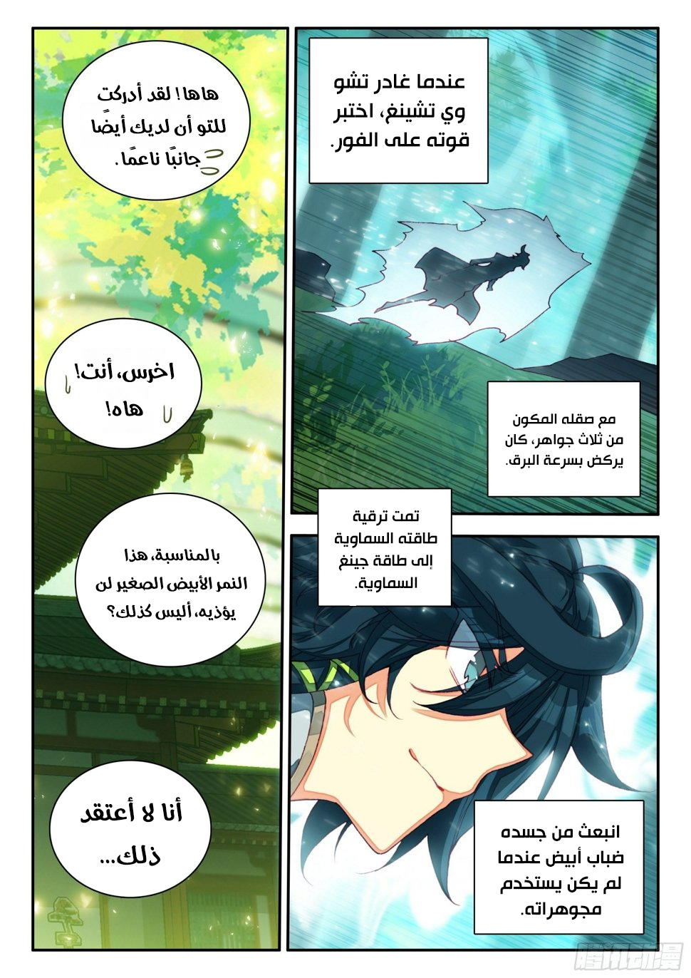 صفحة 11