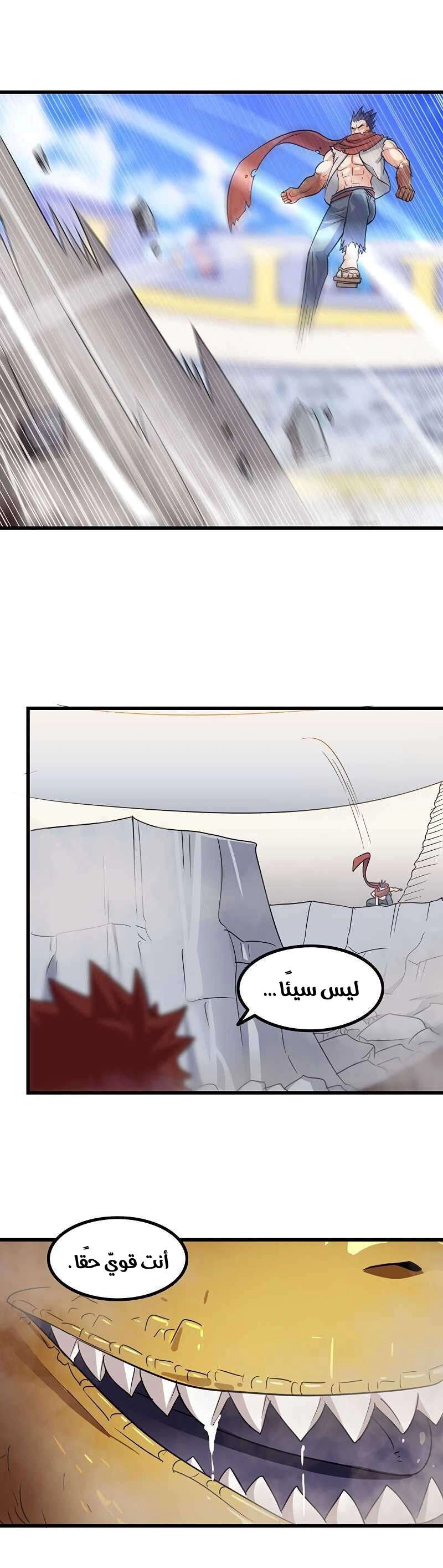 صفحة 17