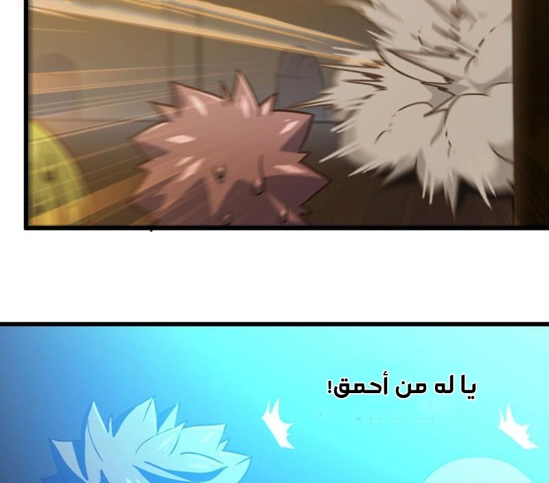 صفحة 8