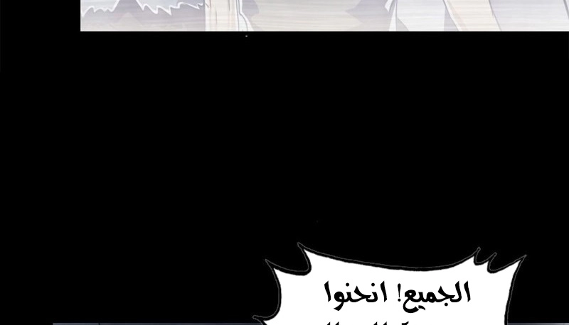 صفحة 17