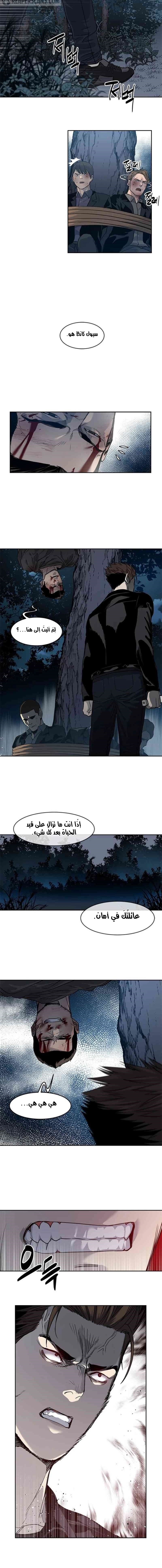 صفحة 12