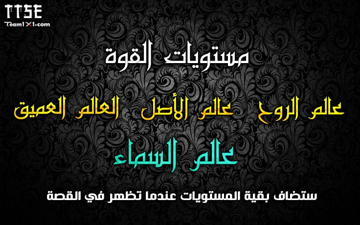صفحة 13