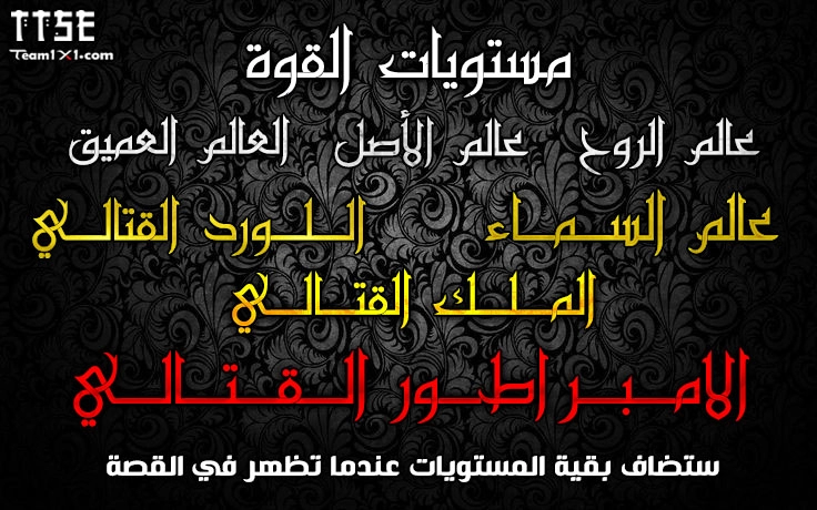 صفحة 13