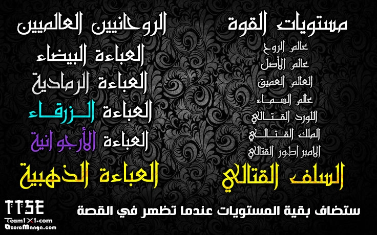 صفحة 13