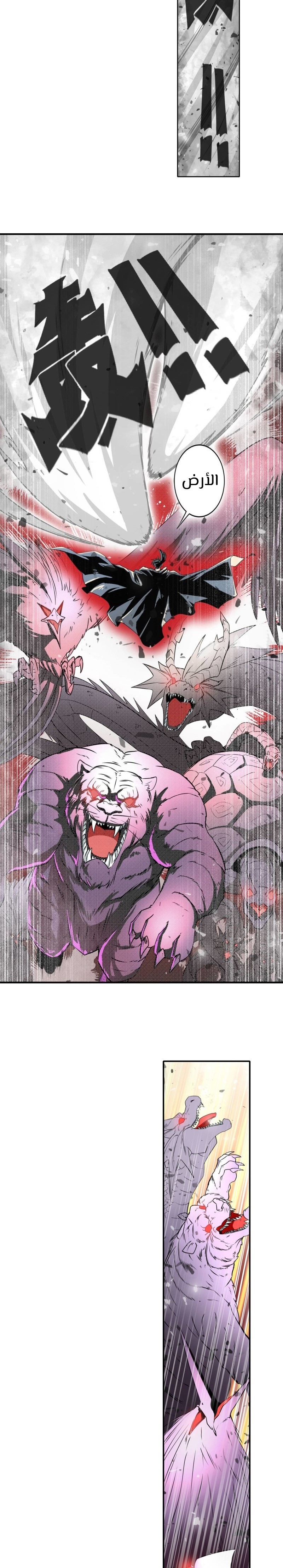 صفحة 11