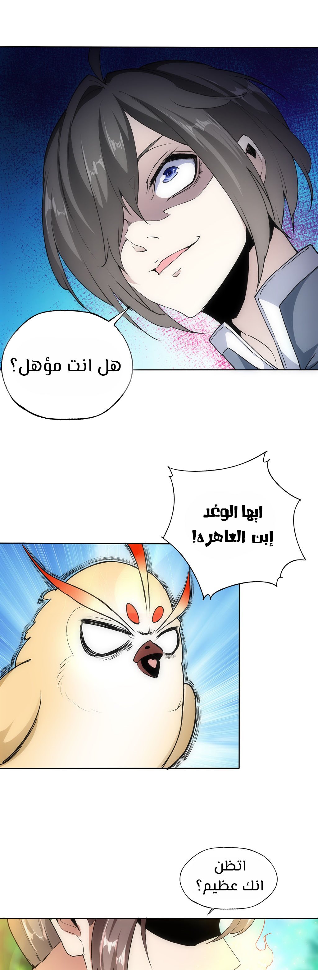 صفحة 17