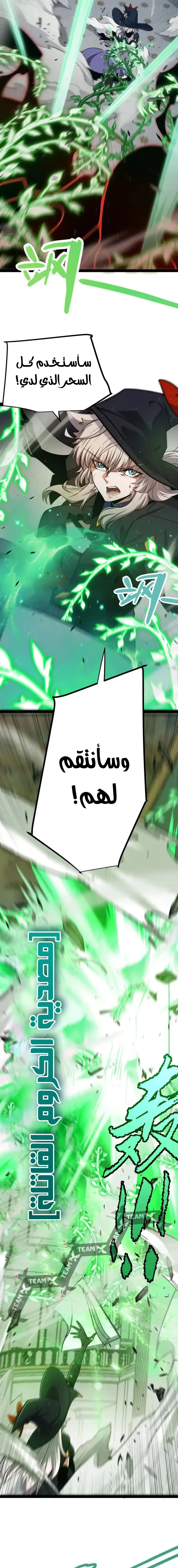 صفحة 13