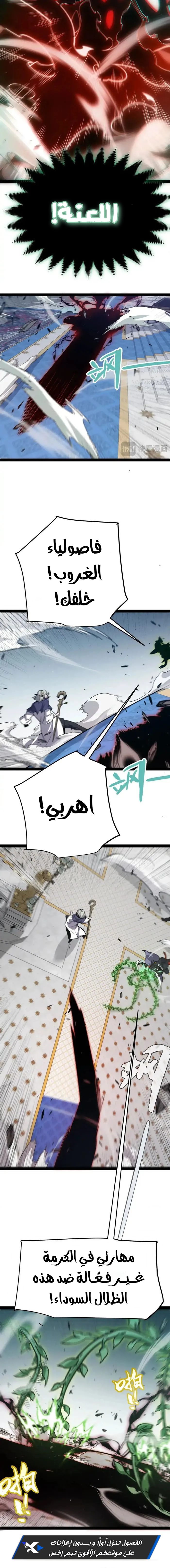 صفحة 17