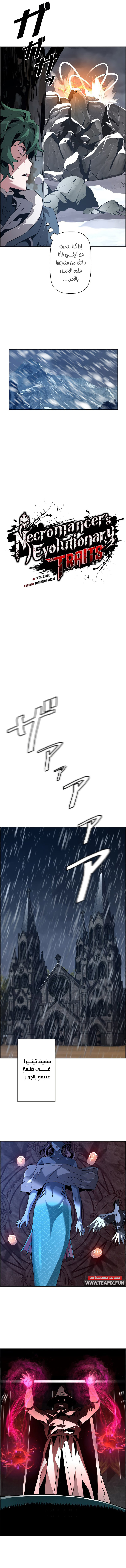صفحة 4