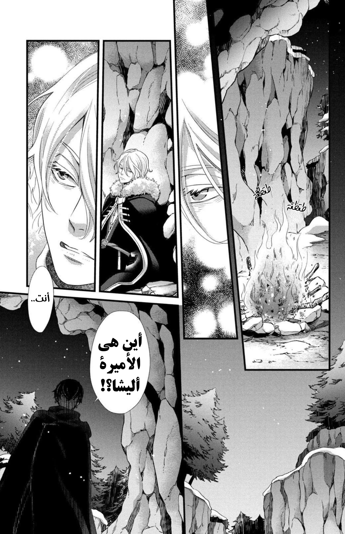 صفحة 11