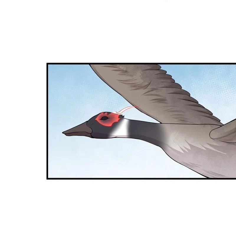 صفحة 11