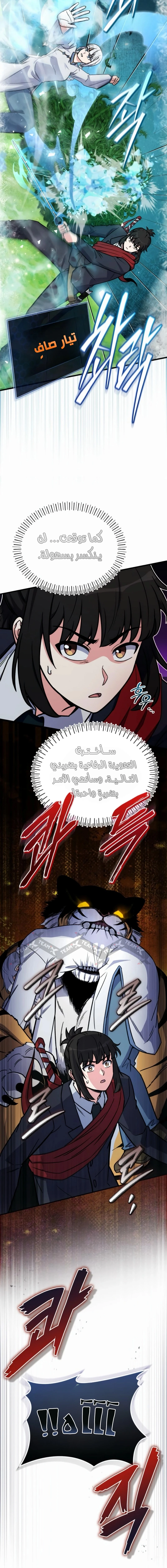 صفحة 17