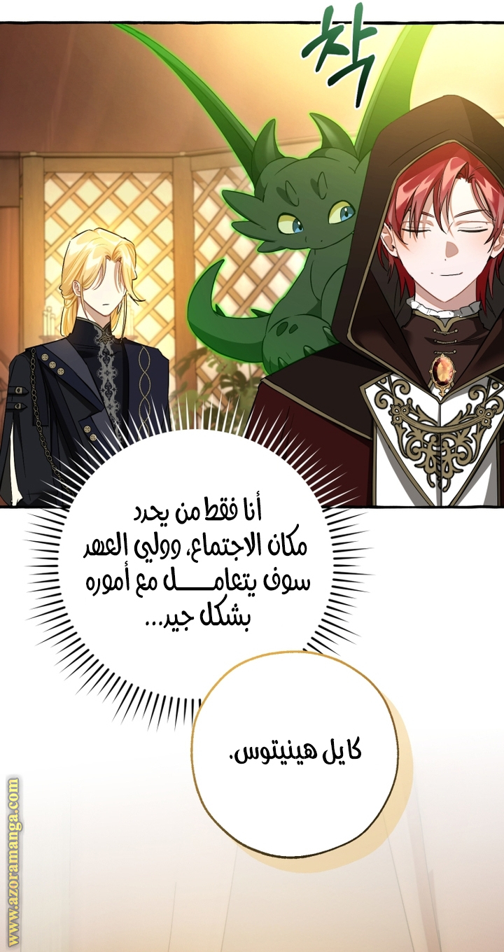 صفحة 41