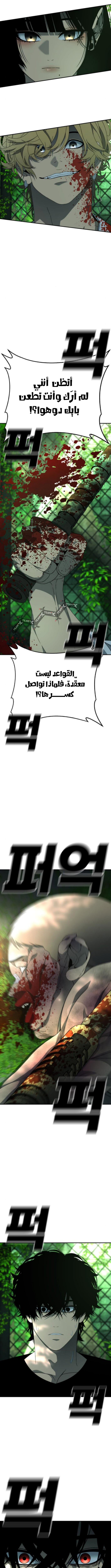 صفحة 17