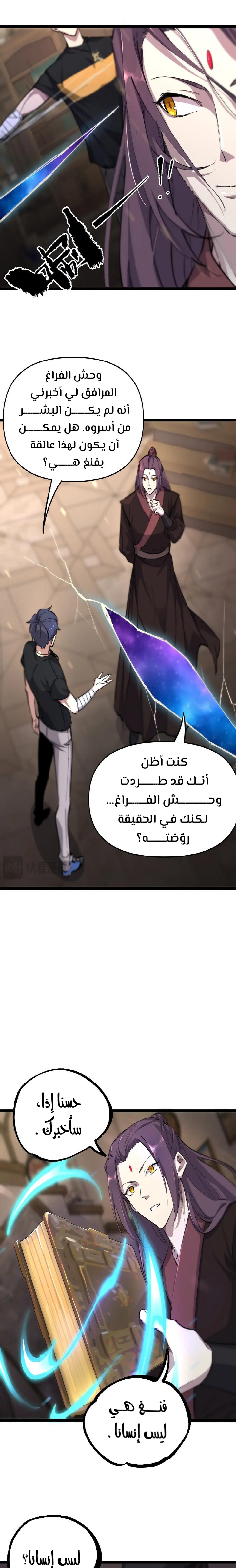 صفحة 13