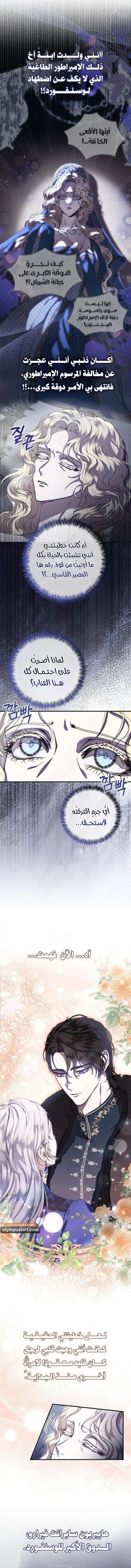 صفحة 13